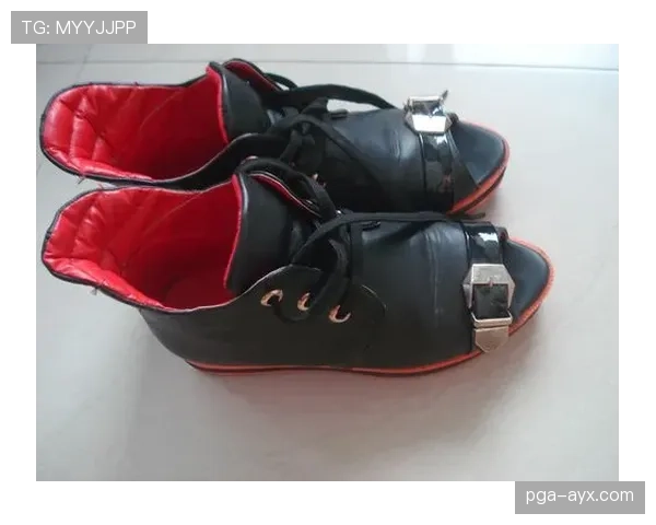 托尼娅·哈丁当年那双冰鞋，现在挂拍卖行能买下整个小区？